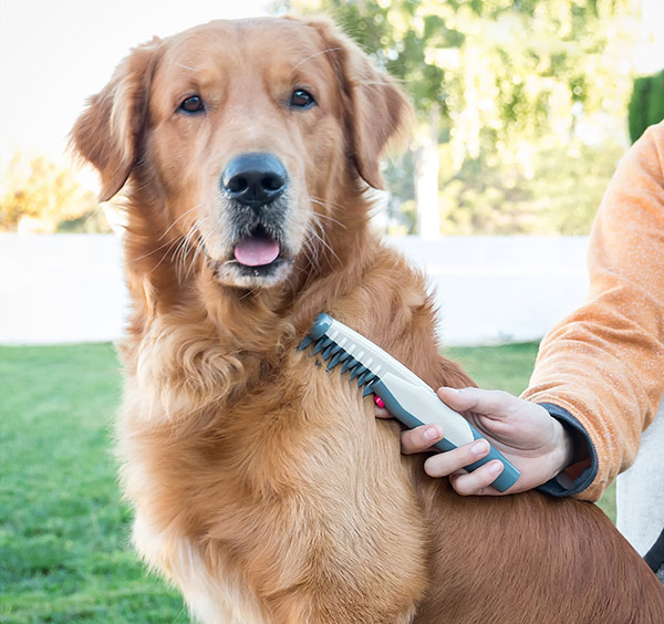 Elektriline kamm ja pusade eemaldaja koertele