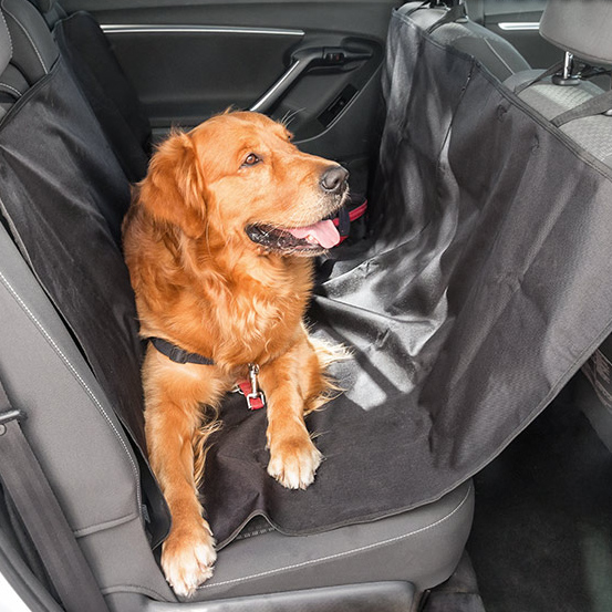 Praktiline autosirm lemmikloomadele