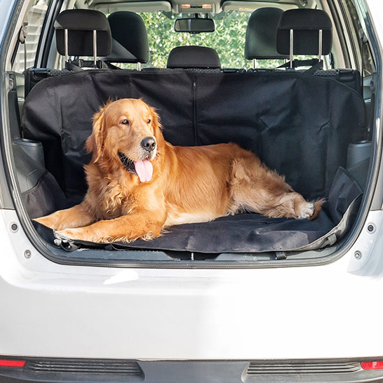 Praktiline autosirm lemmikloomadele