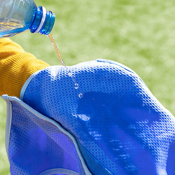 Väike jahutusvest lemmikloomadele