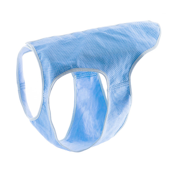 Jahutusvest suurtele lemmikloomadele