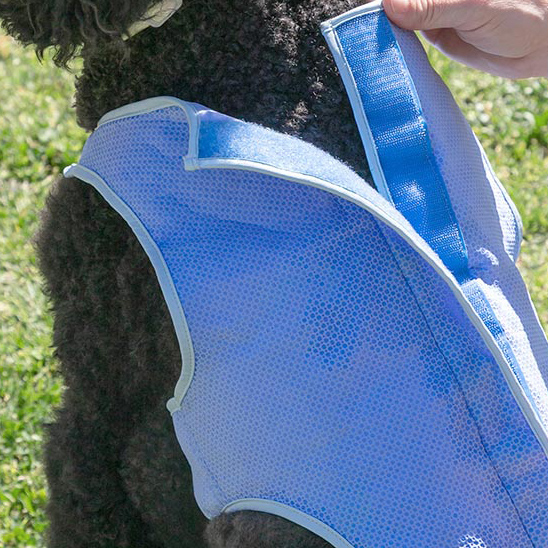 Jahutav vest keskmise suurusega koertele